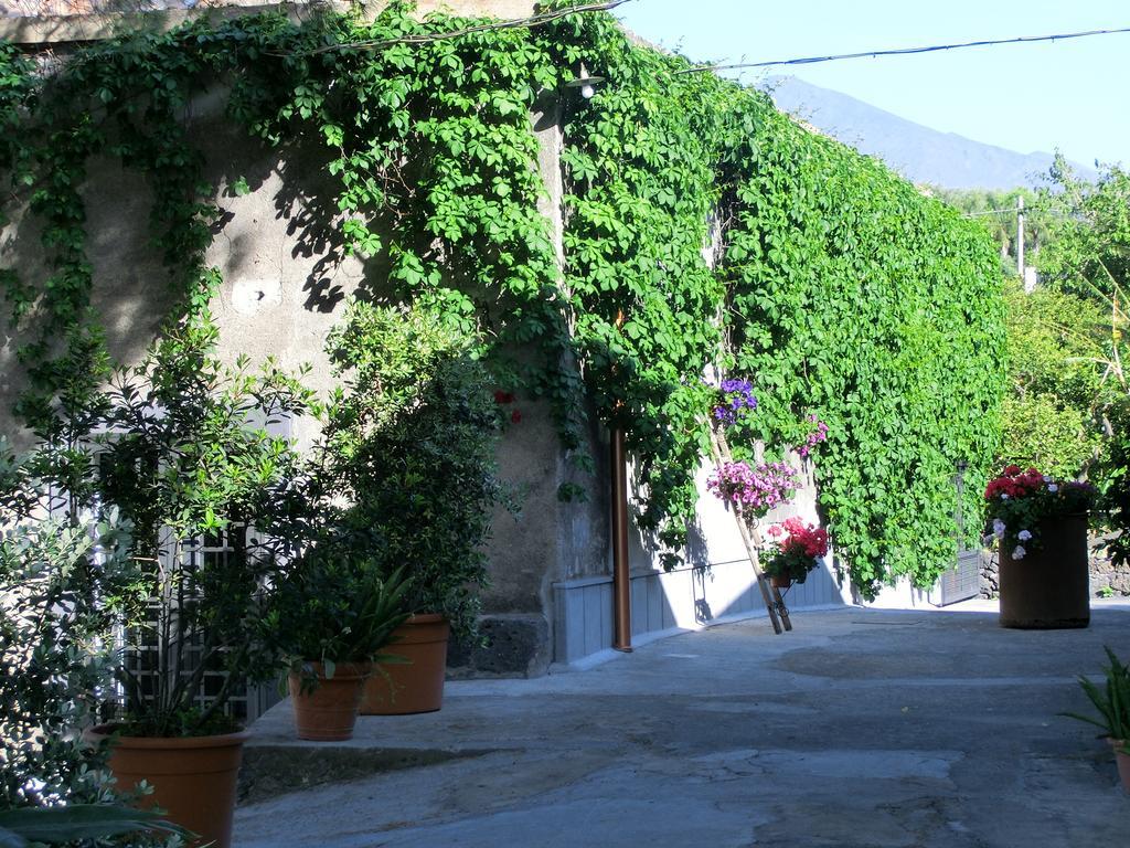 Il Limoneto Acireale Villa Exterior photo